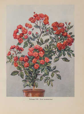 Комнатное садоводство. М.: Государственное издательство сельскохозяйственной литературы, 1956.